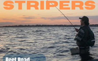 Fishing Friday: Sunset Stripers