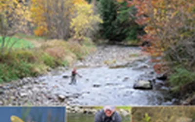 Fly Fishing in Vermont