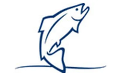 Introduction to Fly Fishing