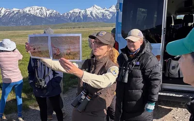 Jackson Hole Birding Festival