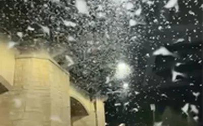 Neonic Hearing at the Capitol