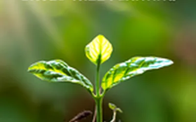 Plant for Our Future: Running a Community-Based Tree Planting (Sept.)