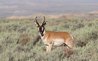 Season Setting Meetings