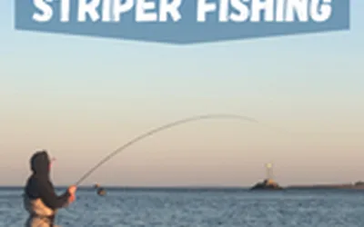 Short Beach Striper Fishing Trip