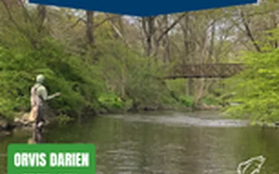 Spring Season Kickoff - Local Fishing Forecast