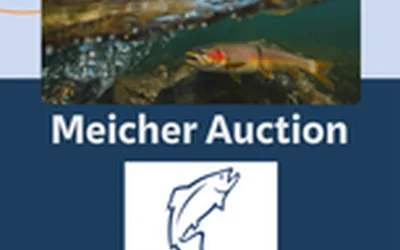 SWTU Meicher’s Auction
