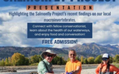The Salmonfly Project Presentation