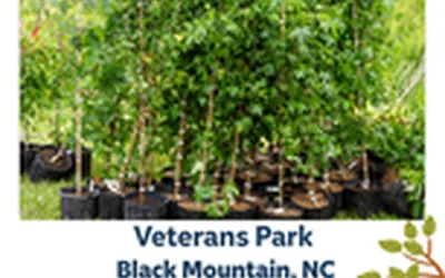 Veterans Park Free Community Tree Giveaway