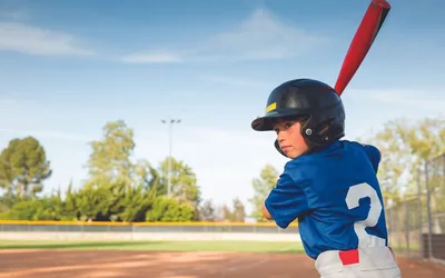 Webb Wright Baseball Leagues