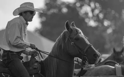 Wyoming State Fair and Rodeo