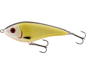 SWIM OFFICIAL ROACH 12 CM S