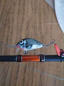 TINY 3 HOLOGRAPHIC GREY SHINER 