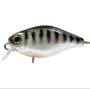 CHUBBY 3.5CM