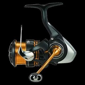 DAIWA LEGALIS LT 2023 2000 SXH
