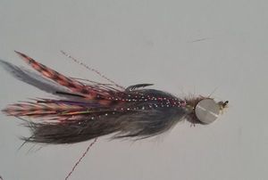 CLOUSER SNAP V1