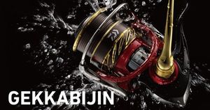 DAIWA 14 GEKKABIJIN 2004