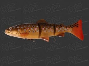 3D TROUT