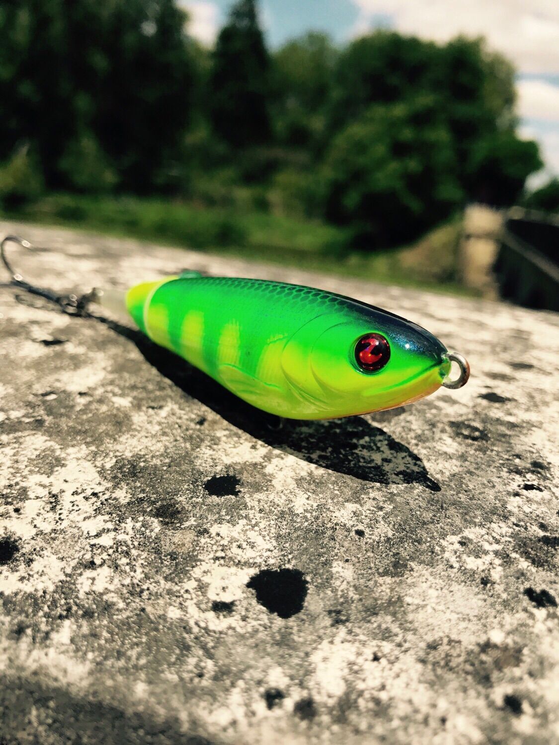 WHOPPER PLOPPER