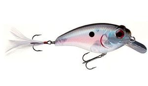 BELLY SHAD SD 60 MM 08G