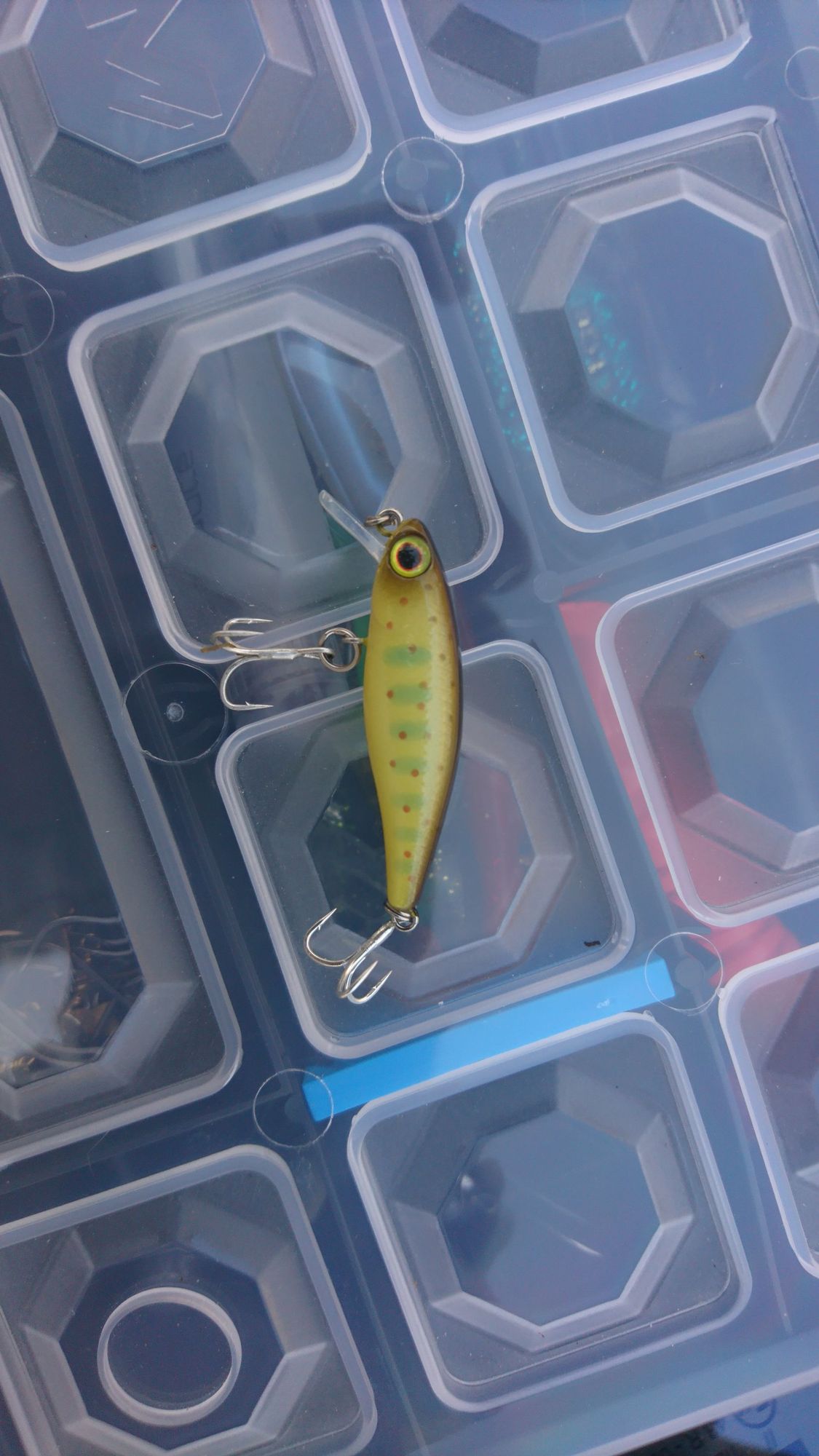 TINY FRY PETIT MINNOW