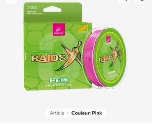 RAIDS 8BRINS 0.4 10/100