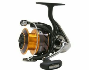 DAIWA NJ2500BG