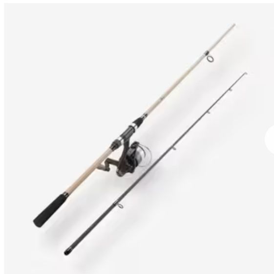 U-FISH 2.10 P