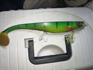 DEXTER SHAD 340 BANGKOK TIGRE