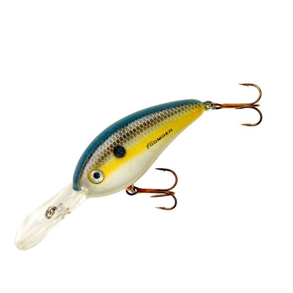 FAT FREE SHAD JR FOXY SHAD