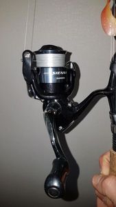 SHIMANO SIENNA 1000FE