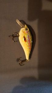 CRANKBAIT