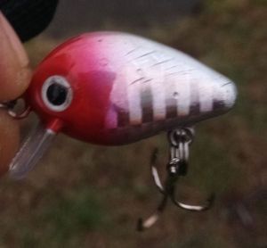 CRANKBAIT MICRO RED HEAD 2