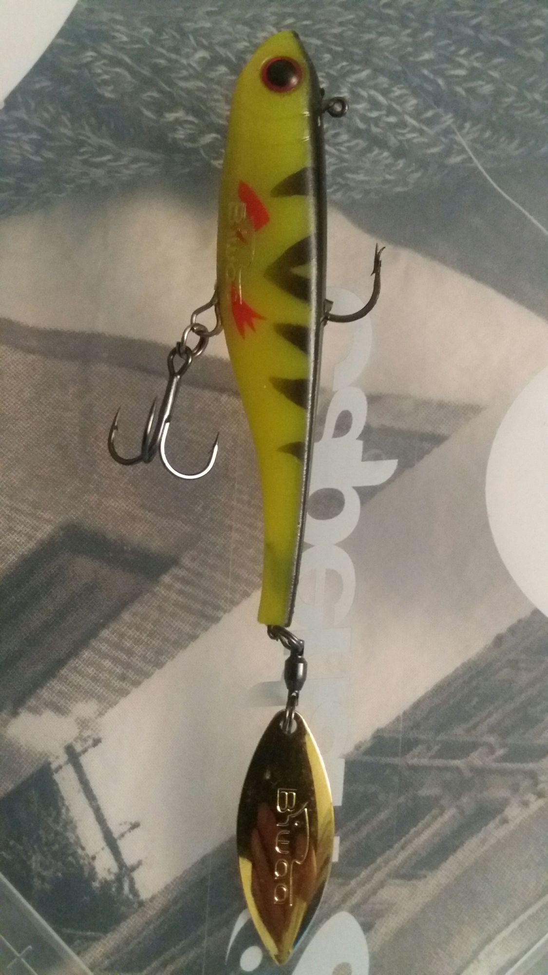 DIVINATOR DIVINATOR