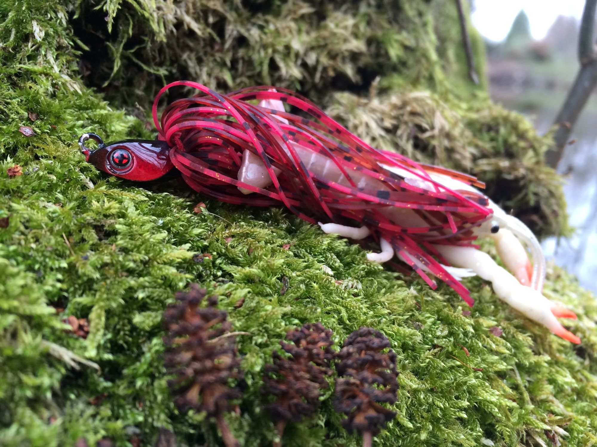 BELLAMY SWIM JIG
