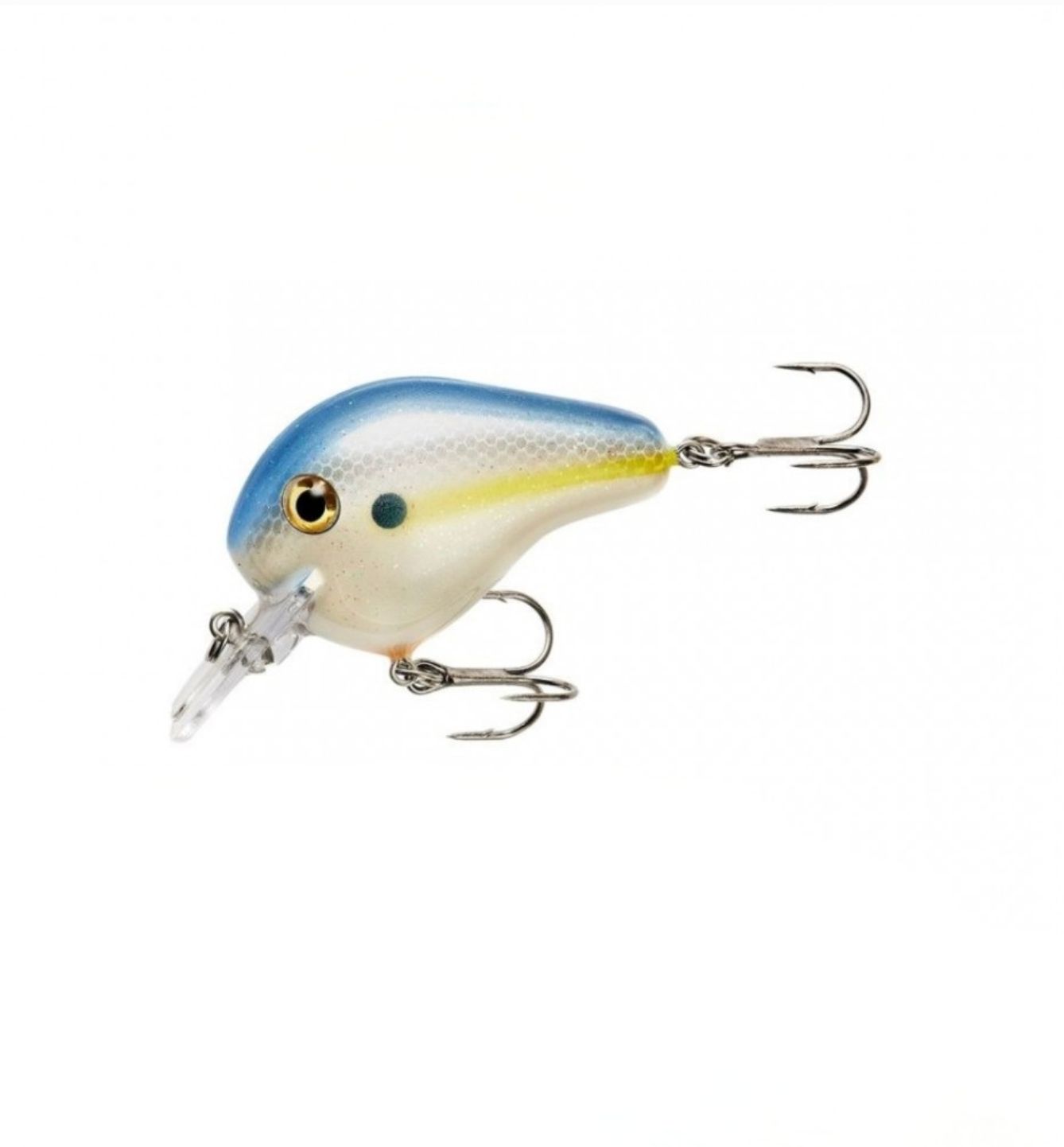 FAT BOY SEXY SHAD