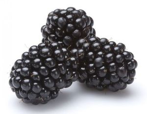 MÛRES NATURELLES