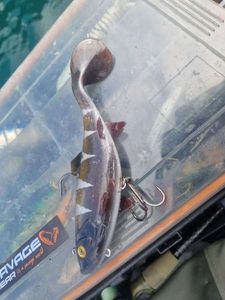 REPLICANT WOOBLE 18CM MOTOROIL PIKE