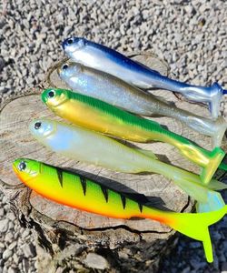 AT MINNOW 250 AT MINNOW 250