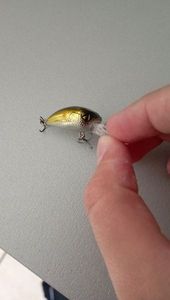 POISSON NAGEUR CRANKBAIT WXM CRK 30 F AYU