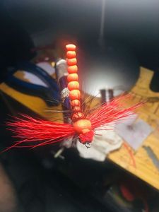 LIBELLULE LIBELLULE