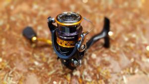 DAIWA IPRIMI LT 2000S-XH