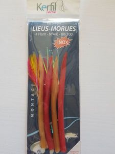 BAS DE LIGNE LIEUX-MORUES (ANGUILLONS)