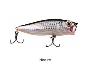 POPPER MINNOW