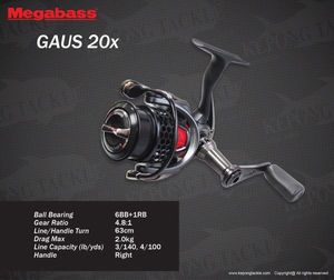 GAUS 20X