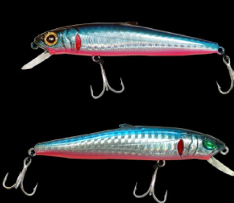 EDONIS SP EDONIS SP