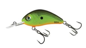 RATTLIN’HORNET 3,5