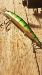 REALIS JERKBAIT 120SP PIKE LTD