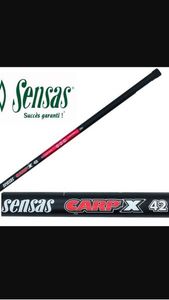 CANNE CARP'X 42