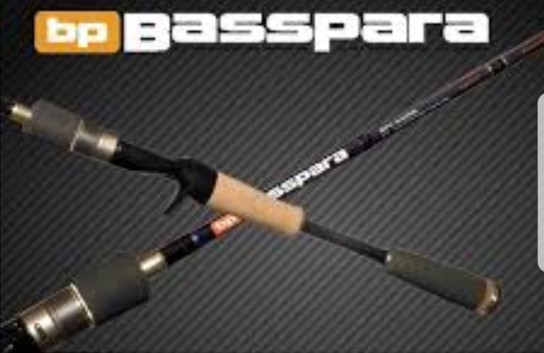 BASSPARA 2M10  10-84GR