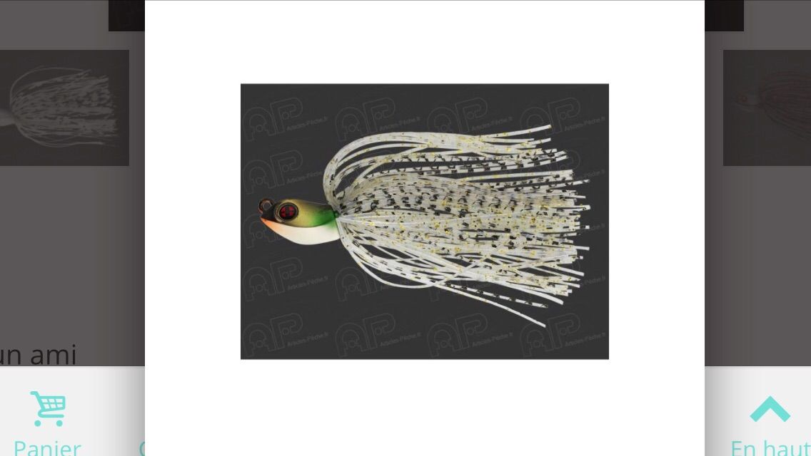 BELLAMY SWIM JIG
